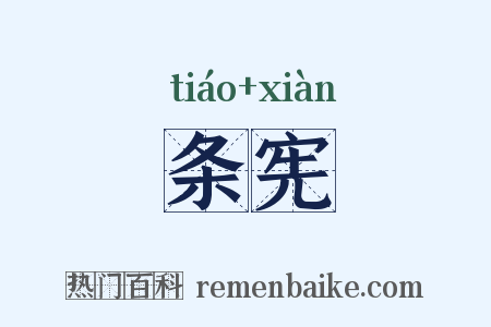 条宪是什么意思的图片